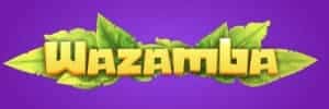 Winnerzon